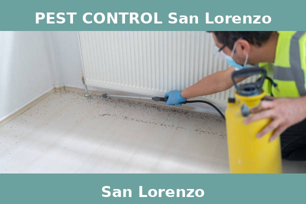 PEST CONTROL San Lorenzo